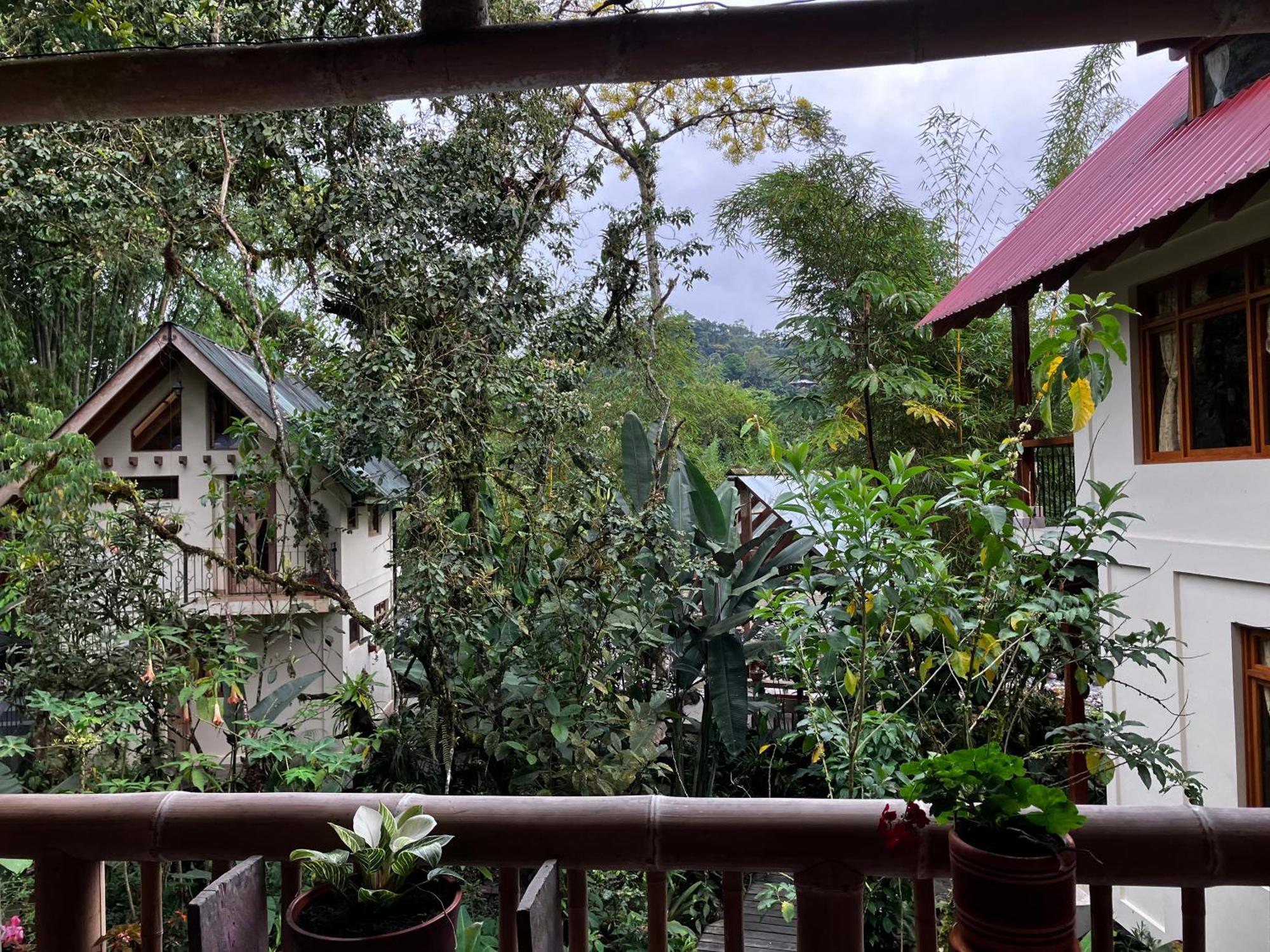 Bed and Breakfast Casa Del Rio En Mindo Exteriér fotografie