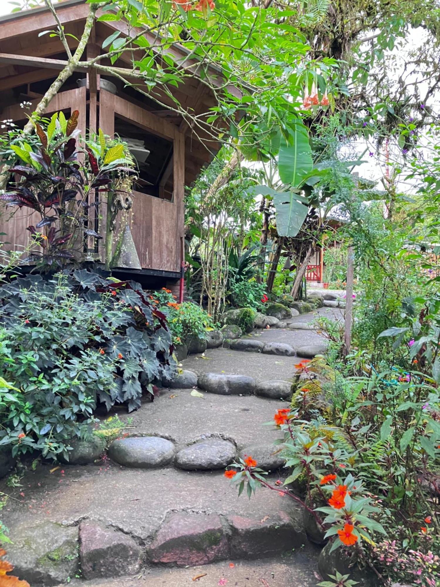 Bed and Breakfast Casa Del Rio En Mindo Exteriér fotografie