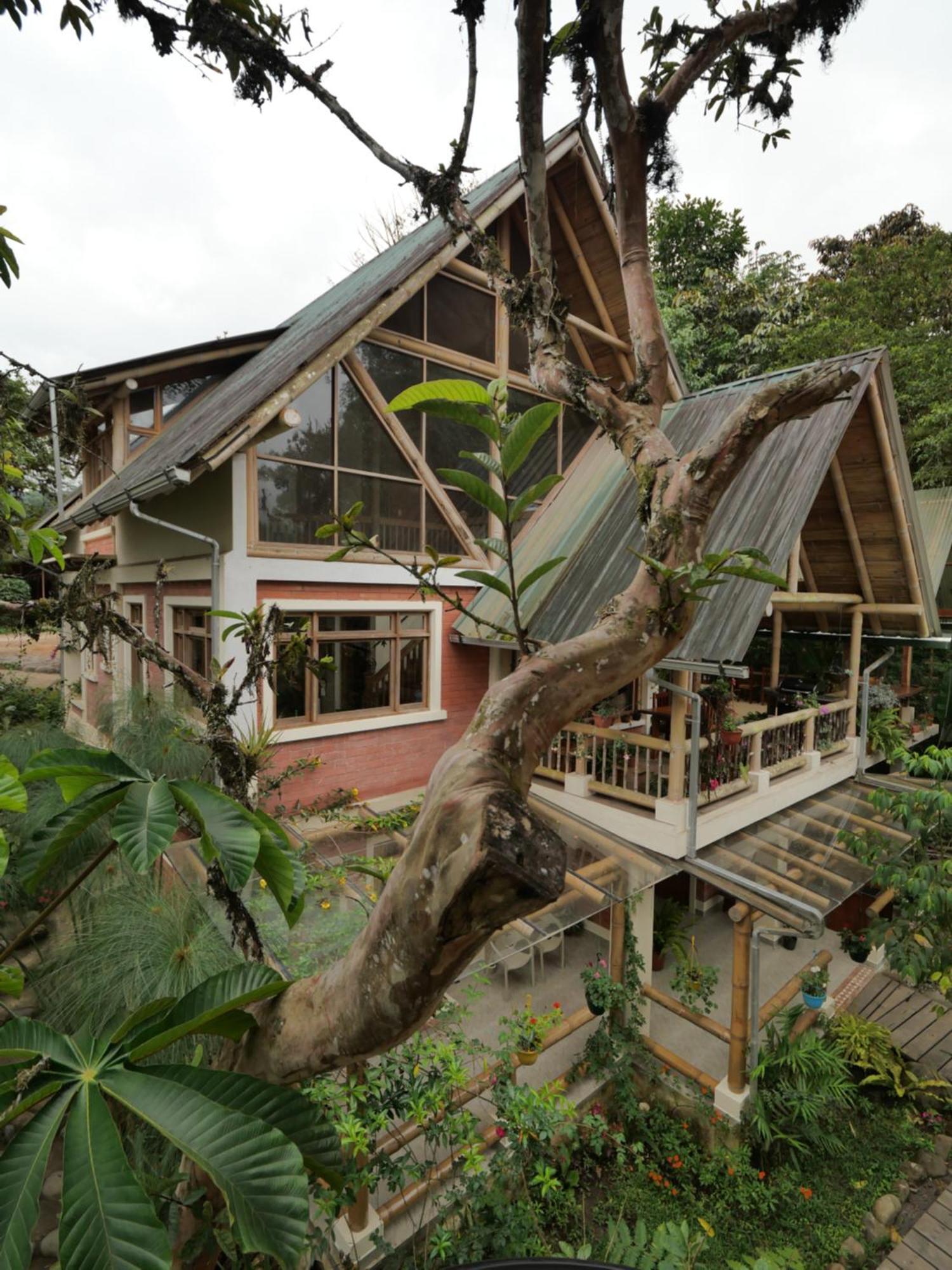 Bed and Breakfast Casa Del Rio En Mindo Exteriér fotografie